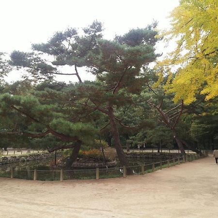 Sunny & Jinny'S Bnb Seoul Bagian luar foto